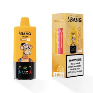 Bang Leader 85K Disposable Vape: 85000 puffs, 850mAh 17350 battery, 1.0Ω mesh coil & Type-C charging. Supports OEM/ODM bulk orders. 145g lightweight, 29kg carton (200 units). Shop long-lasting vape pens wholesale!