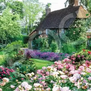 Epoch 2016 Small Piece Jigsaw Puzzle 50x75cm Cottage Flower Garden with Glue