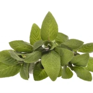 Goloka - Sage Natural & Undiluted Essential Oil 10ml