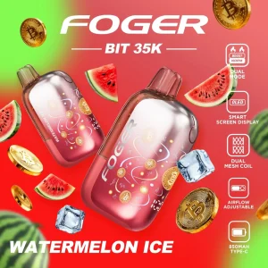 Foger Bit 35K Disposable Vape (5%, 35000 Puffs)