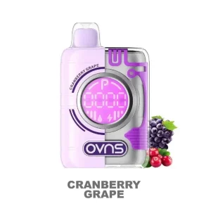 OVNS Puff Geek Truth Puff Disposable Vape Kit (5%, 18.5ml) - Cranberry Grape