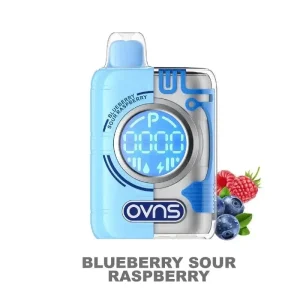 OVNS Puff Geek Truth Puff Disposable Vape Kit (5%, 18.5ml) - Blueberry Sour Raspberry